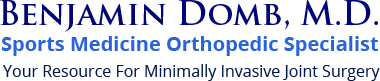 Benjamin Domb MD Orthopaedic Hip Knee Shoulder Surgeon Chicago IL